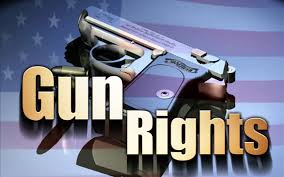 gun rights photo